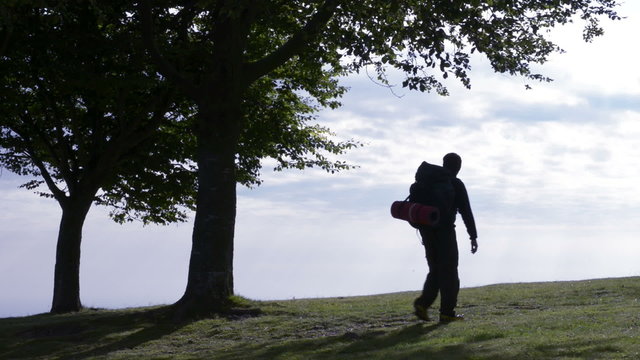 Man walking in naturetake a rest enjoying the panorama