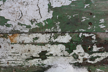 Obraz premium Wood Texture