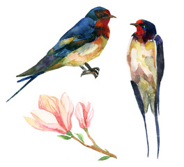 Watercolor Swallows