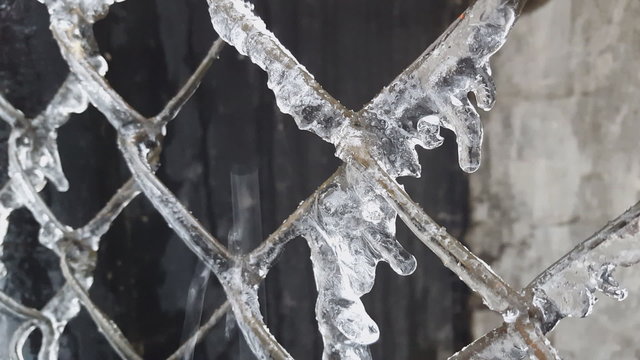 Water dripping off of icicles as temperatures start to warm.