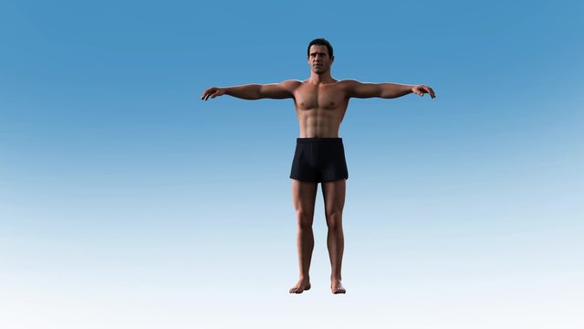 man slimming - Fat And Slim man - Before And After Diet and Gym  3D render
