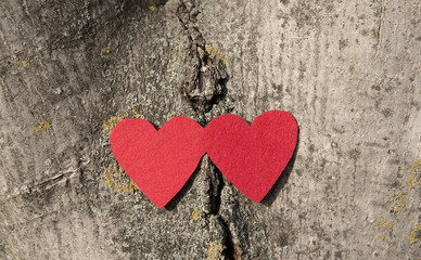 Closeup photo of two red heart shape on wooden