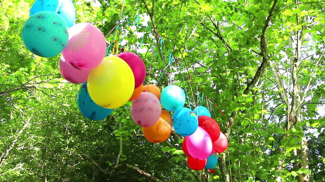 Colorful balloons wobble in the wind on the green leafage background. 