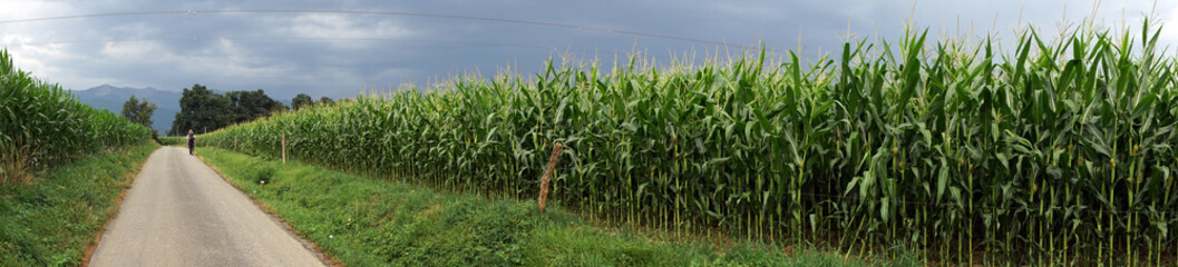 Backpacker on the road