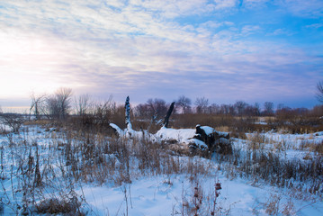 Winter forest and lake