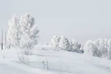 Winter Landscape