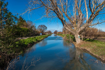 Paysage camarguais en hiver.