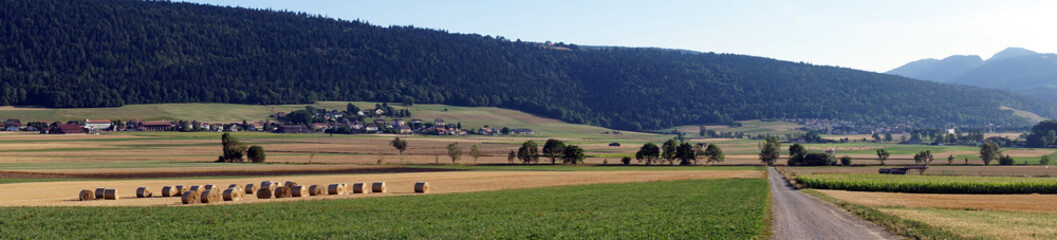 Panorama of farm fields