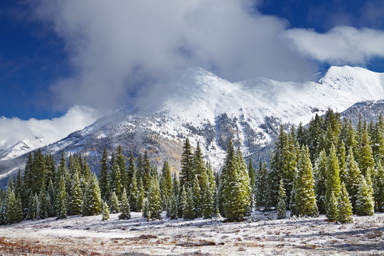 Snowy mountains and forest, Colorado