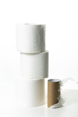 Toilet paper roll