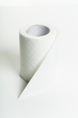 Toilet paper roll