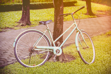Fototapeta premium Vintage bicycle waiting near tree. Cross process picture style.