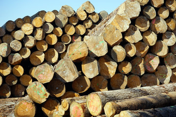 Heap of timber