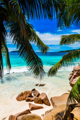 Tropical beach. The Seychelles