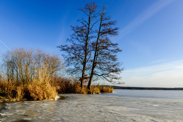 Winterlandschaft in Peltzow am Schwielowsee
