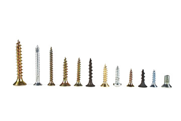 Various screws on a white background