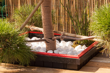 design solution of the interior decoration and luxury homes