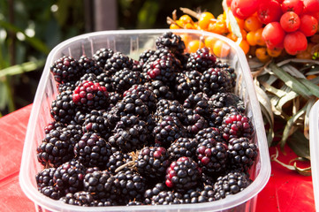 fresh berries on a table blackberry, buckthorn, cranberries