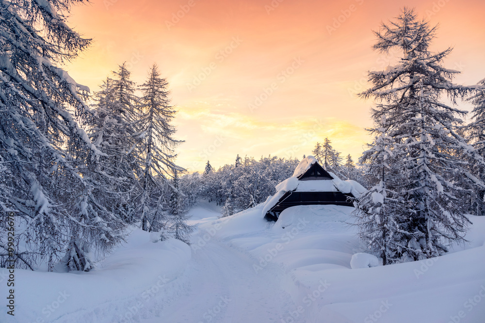 Canvas Prints beautiful sunset in slovenia alps