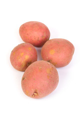 new potato - isolated