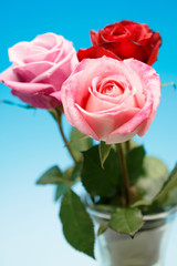 Fototapeta premium 薔薇の花