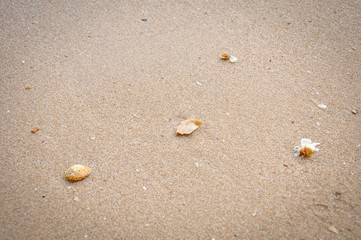 Sand Background