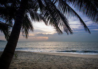 Fototapeta na wymiar Tropical beach with coconut trees