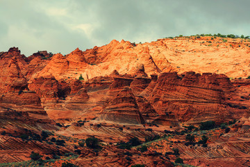 Coyote Buttes