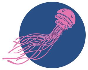 Fototapeta premium Vector medusa