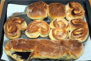 Cooked appetizing cakes, buns and roll with poppy seeds on kitchen tray closeup