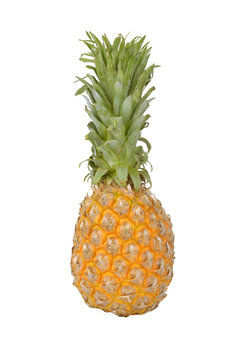 A pineapple on white background