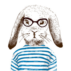 illustration of dressed up bunny 