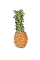A pineapple on white background