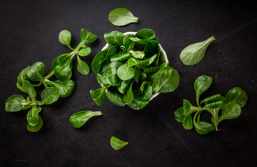 Fresh lamb's lettuce in white bowl