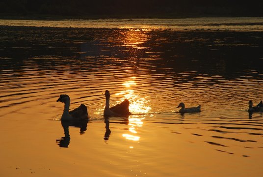 Beautiful sunset in Lijang,China