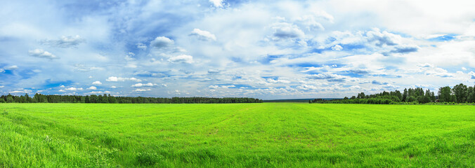 summer rural landscape a panorama with a field and the blue sky