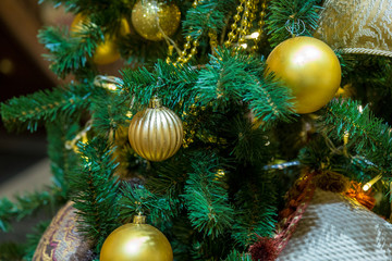 Christmas decorations on the branches fir