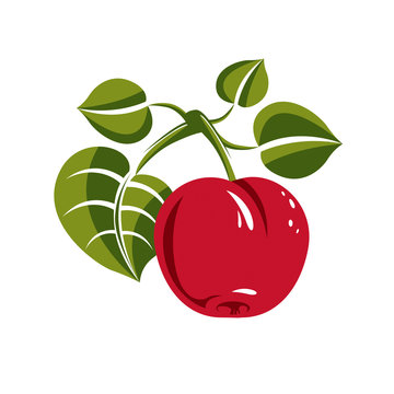 Single red simple vector apple with green leaves, ripe sweet fruit