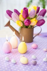 Obraz premium Bunte Tulpen auf Lila