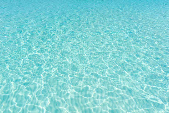 Fototapeta Tranquil underwater scene with copy space