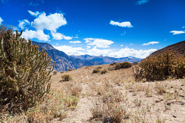 landscape Peru