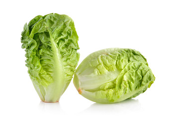 Fototapeta premium fresh baby cos (lettuce) on white background