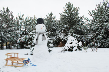 winter, snowman and sledge