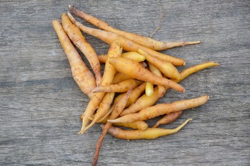 fresh fingerroot on wood plank