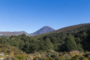 View of Mount Ngauruhoe