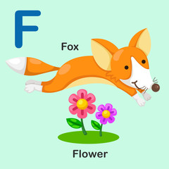 Illustration Isolated Animal Alphabet Letter F-Fox-Flower