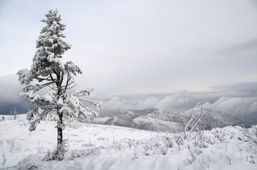 zima w Beskidzie Śląskim na Baraniej Górze