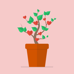 Plant with hearts flat icon