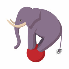 Elephant balancing on a ball cartoon