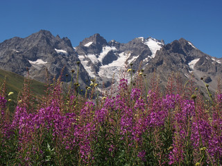 Les glaciers de la Meije